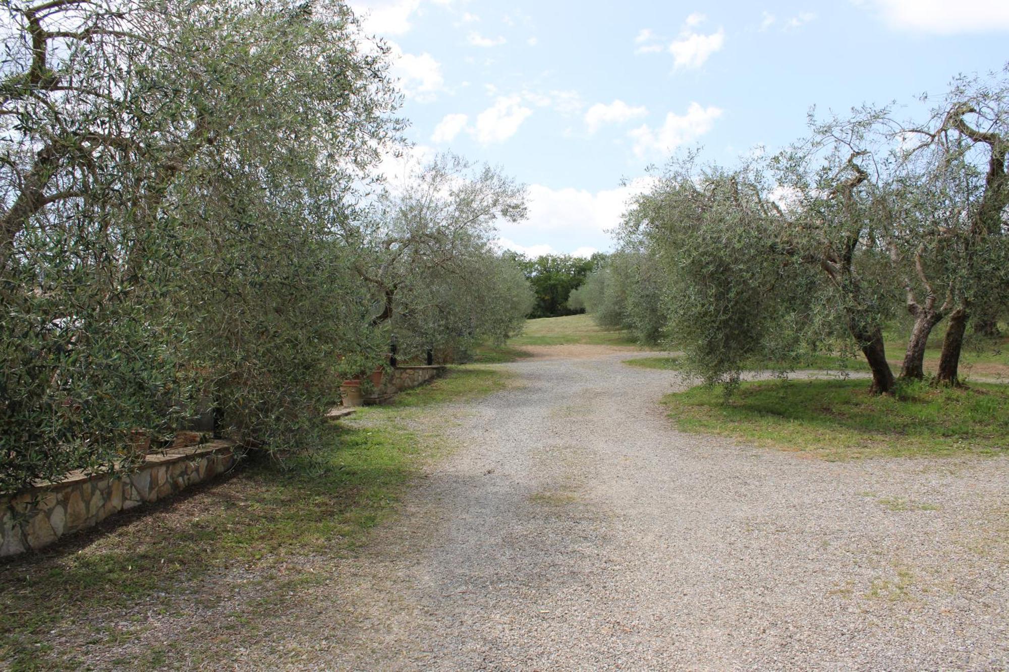 Agriturismo Cantagalli San Quirico d'Orcia Exterior photo