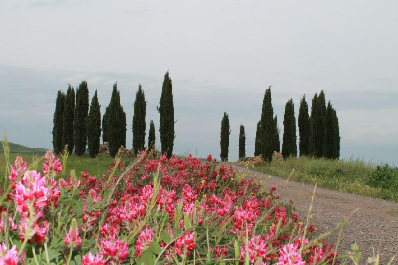 Agriturismo Cantagalli San Quirico d'Orcia Exterior photo